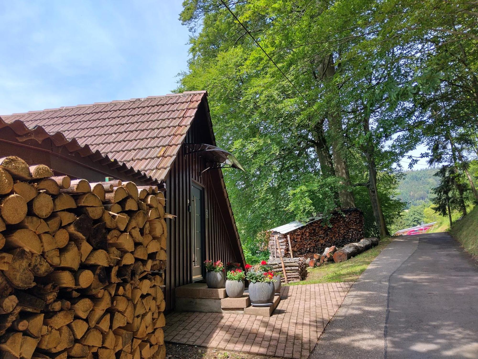 Апартаменты Haus "Guck - Ins - Tal" Засбахвальден Экстерьер фото